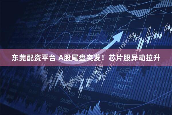 东莞配资平台 A股尾盘突发！芯片股异动拉升